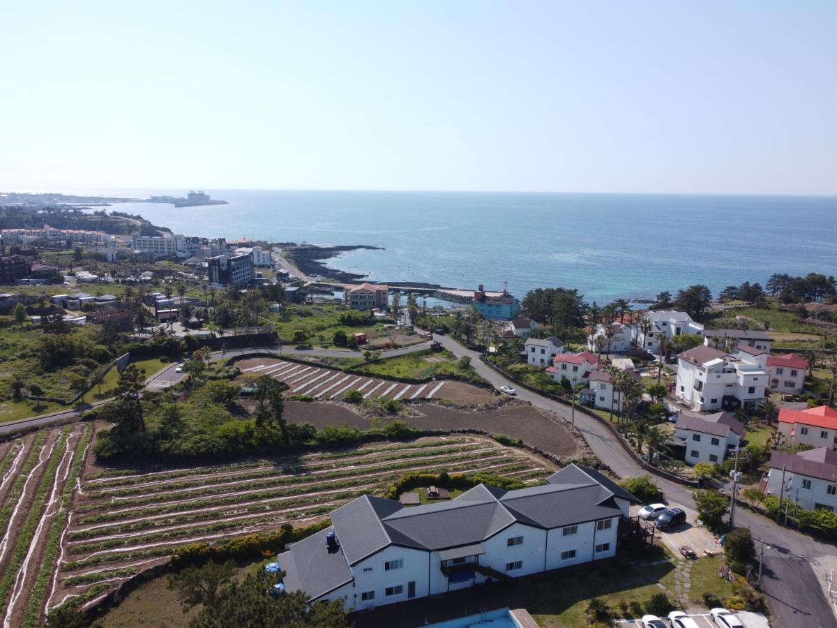 White Dream Pension Jeju Exterior photo